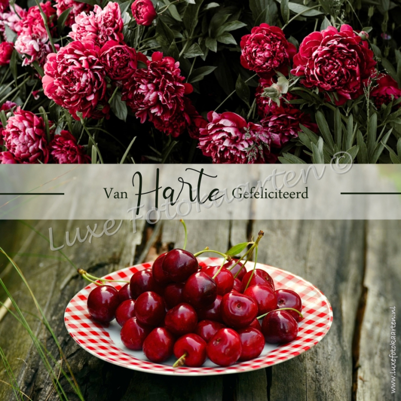 Gefeliciteerd Algemeen - pioenroos met kersen